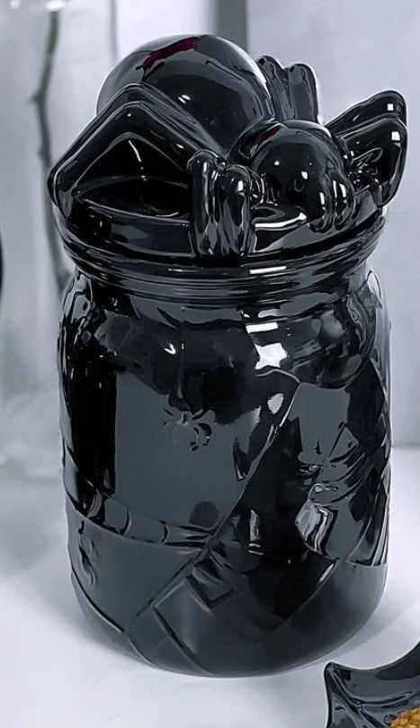 Arachnid Ceramic Jar